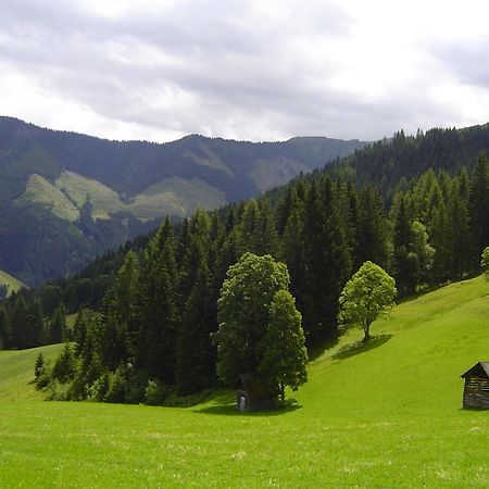 Kirchenbichlerhof Villa Pruggern Buitenkant foto
