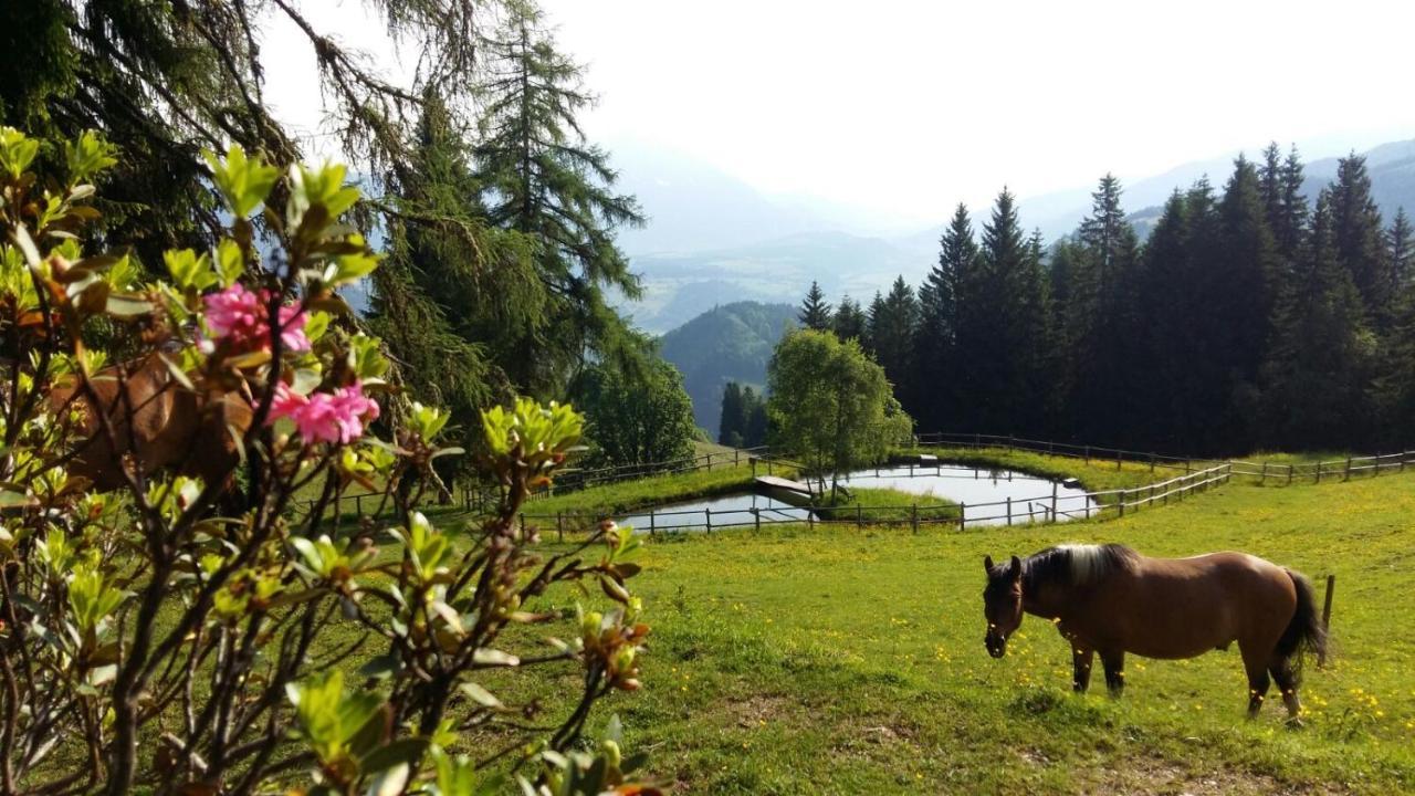 Kirchenbichlerhof Villa Pruggern Buitenkant foto