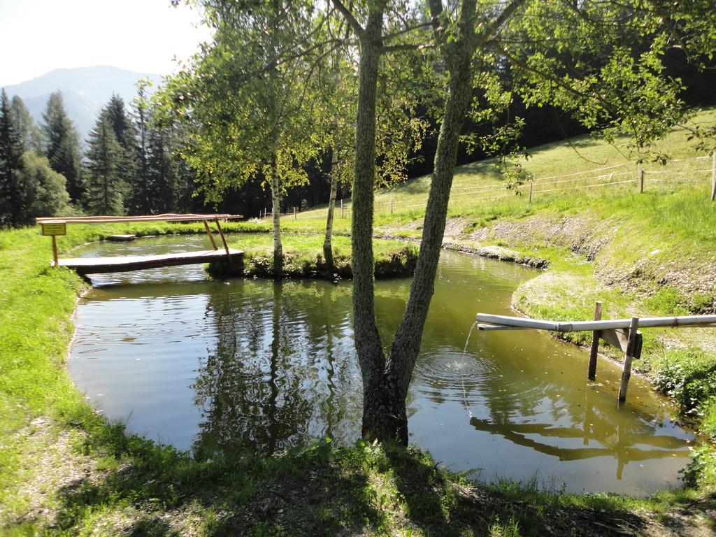 Kirchenbichlerhof Villa Pruggern Buitenkant foto