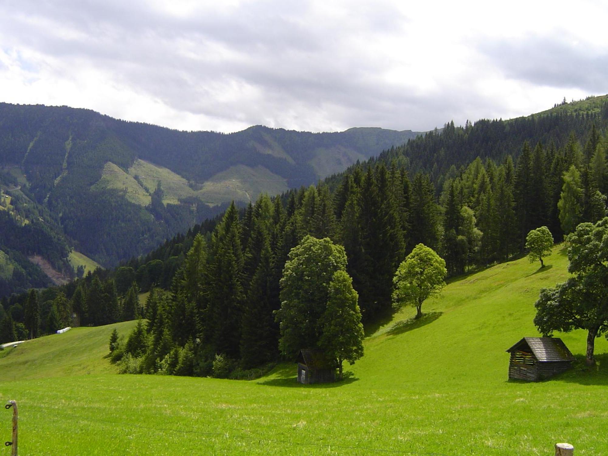 Kirchenbichlerhof Villa Pruggern Buitenkant foto
